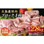 糸島産豚肉 ブロック肉4品盛合せセット 約2.8kg