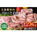 糸島産豚肉 ブロック 肉4品盛合せセット 約2.8kg