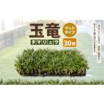 花 苗木 玉竜 タマリュウ たまりゅう 30枚