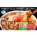 惣菜 レトルト 冷凍 牛丼 熊野牛 牛丼の具 10個セット