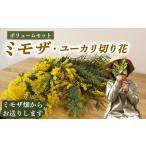花 インテリア ミモザ ユーカリ 切り花 ボリューム
