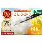 米 コシヒカリ 3ヶ月定期便 令和7年産 産こしひかり 計60kg