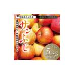 ショッピングふるさと納税 訳あり 傷 ふるさと納税 りんご 宮城県 - 宮城県産 ご家庭用 サンふじ5kg(11〜20玉入り)生産者選別済みのリンゴ 1461381