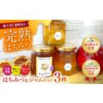 ジャム りんご はちみつ 純粋とはちみつジャムのセット