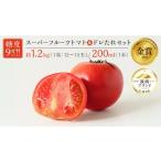 fu.... налог овощи вид помидор Ibaraki префектура . запад город Япония овощи сомелье ассоциация разработка dore соус комплект super фрукты помидор средний коробка примерно 1.2kg × 1 коробка большой шар 12~15 шар |1 коробка 2026...