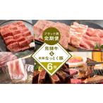 牛肉 ステーキ 定期便6回 飛騨牛 なっとく豚