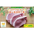 豚肉 ステーキ パイナップルポークロースステーキ 100g×6枚…