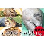 マグロ メバチマグロ兜 頭半割1個分 1kg