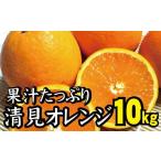 ふるさと納税 みかん・柑橘類 オレンジ 和歌山県 紀美野町  農家直送 果汁たっぷり 清見オレンジ 約10kg サイズお任せ 有機質肥料100% 2026年3月〜4月より順次…