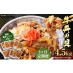 牛肉 定期便3回 牛丼の具 150g×10パック
