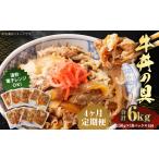 牛肉 定期便4回 牛丼の具 150g×10パック