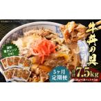 牛肉 定期便5回 牛丼の具 150g×10パック