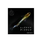 生き物 メダカ レッドクリフ ダークタイプ