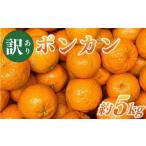 ふるさと納税 果物類 みかん 愛媛県 愛南町 訳あり ポンカン 約5kg サイズミックス 不揃い 傷 みかん 蜜柑 果物 柑橘 フルーツ 傷 不揃い ゼリー ジュース 農…