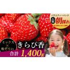 いちご 農家直送 きらぴ香 1400g以上