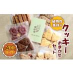 菓子 *植物性素材のクッキー おまかせセット