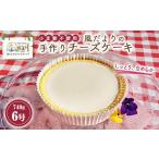 ケーキ カステラ チーズケーキ 風だよりの手作りチーズケー…