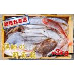 旬の鮮魚等 漁師の鮮魚箱 約3kg