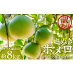 みかん 柑橘類 訳あり さぬきポメロ 約8kg