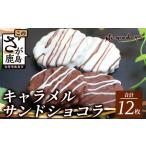焼菓子 チョコレート キャラメルサンドショコラ 合計12枚