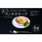 菓子 アイス ウイスキーハイボール専用 大人のカタラーナ 7…