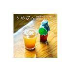 加工品等 濃厚梅エキスと漢方のシロップ