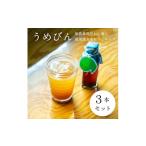 加工品等 3本セット 濃厚梅エキスと漢方のシロップ