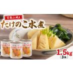 ふるさと納税 缶詰・瓶詰 野菜類 京都府 - 白子筍 水煮 1.5kg (500g×3) 京都山城の「白子筍」 缶詰 たけのこ 京たけのこ おすすめ 京 野菜 竹の子 おせち 料…