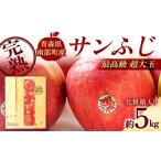 ふるさと納税 りんご 青森県 南部町 最高級(超大玉) 青森産 完熟 りんご サンふじ 約5kg 化粧箱入り 誠果園 青森りんご リンゴ 林檎 アップル あおもり 青森…