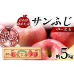 ふるさと納税 りんご 青森県 南部町 訳あり 青森産 完熟 りんご サンふじ (中〜大玉) 約5kg 誠果園 青森りんご リンゴ 林檎 アップル あおもり 青森 青森県…