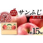 ふるさと納税 りんご 青森県 南部町 訳あり 青森産 完熟 りんご サンふじ (中〜大玉) 約15kg 誠果園 青森りんご リンゴ 林檎 アップル あおもり 青森 青森…