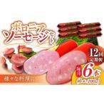 肉 ソーセージ 12回定期便 宮地ハムのロングセラー