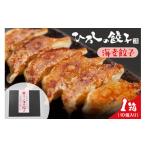 ふるさと納税 餃子 山形県 東根市 ひろしの餃子（海老）　hi004-hi044-003