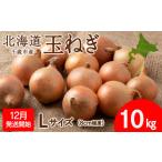 ふるさと納税 野菜類 玉ねぎ 北海道 千歳市 先行予約 玉ねぎ 10kg Lサイズ 北海道 千歳市産 甘い たまねぎ 野菜 冷蔵 タマネギ 假屋フードブリッジ