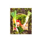 野菜類 八州高原マルシェ自慢の旬な野菜たち_野菜