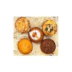 焼菓子 チョコレート 無地熨斗 地球屋プレミアム