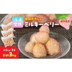 ふるさと納税 いちご 栃木県 小山市 頑固おやじの冷凍完熟ミルキーベリー合計3kg(約1kgX3個) 1442900