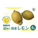 みかん 柑橘類 レモン 先行受付 2026年11月上旬~発送