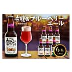 安房麦酒 ブルーベリーエール6本 発泡酒 330ml×6本