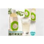 果汁飲料 梅の果実水 350ml