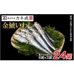 ふるさと納税 干物 イワシ 愛知県 南知多町 いわし 丸干し 冷凍 24尾(8尾×3袋) 小分け 干物 鰯 イワシ いわし 鰯 イワシ 干物 いわし 鰯 イワシ 干物 いわし …