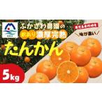 ふるさと納税 みかん・柑橘類 鹿児島県 枕崎市  訳あり 鹿児島県枕崎市産　濃厚完熟たんかん5kg A8-6 _ 柑橘 たんかん フルーツ 果物 旬の果物 ビタミン 送料…