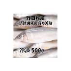 旬の鮮魚等 清流安家川育ち美鮎 500g