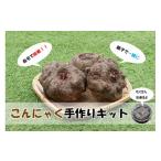 野菜類 おうちで挑戦 生芋からつくるこんにゃく手作りキット