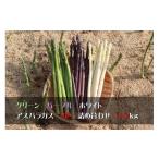 野菜類 アスパラガス 緑 白 紫 アスパラガス3色詰め合わせ …