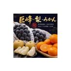 紀州産 巨峰とフルーツ定期便A 巨峰 梨 みかん