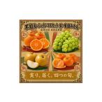 果物類 みかん 2 8 9 12月 全4回 紀州産