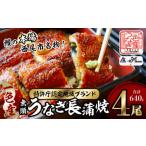 ふるさと納税 うなぎ 愛知県 西尾市 通常発送 一色産うなぎ 無頭 長蒲焼4尾(640g) 鰻 ウナギ うなぎ 蒲焼 国産 うなぎ蒲焼 タレ付き たれ 国産うなぎ 蒲…