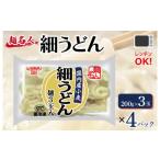 ふるさと納税 大阪府 泉佐野市 麺名人 国産小麦 細うどん 12食 個包装