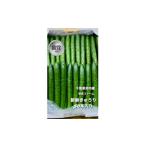 ふるさと納税 野菜類 千葉県 旭市  2